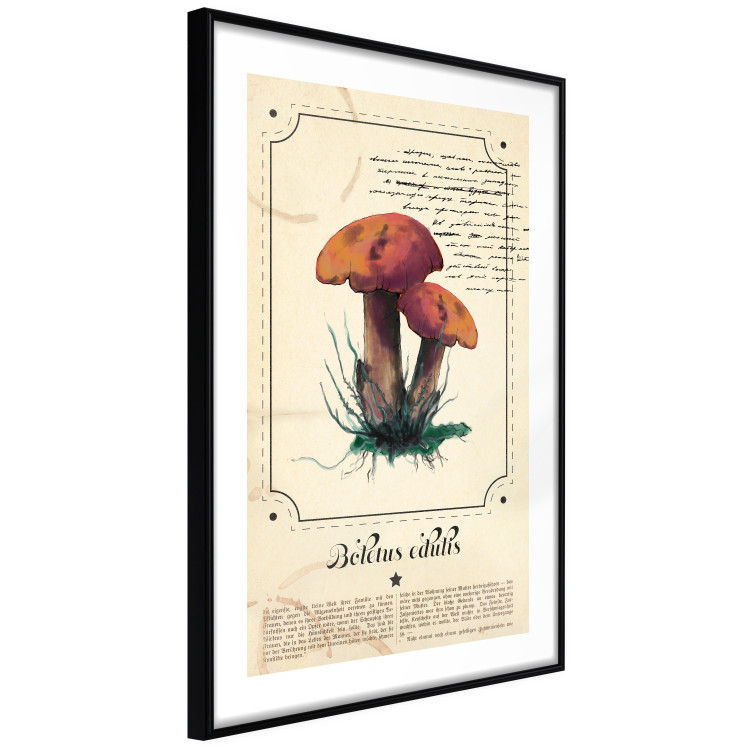 Wall Poster Mushroom Atlas - brown mushrooms on beige background amidst black text 129546 additionalImage 6