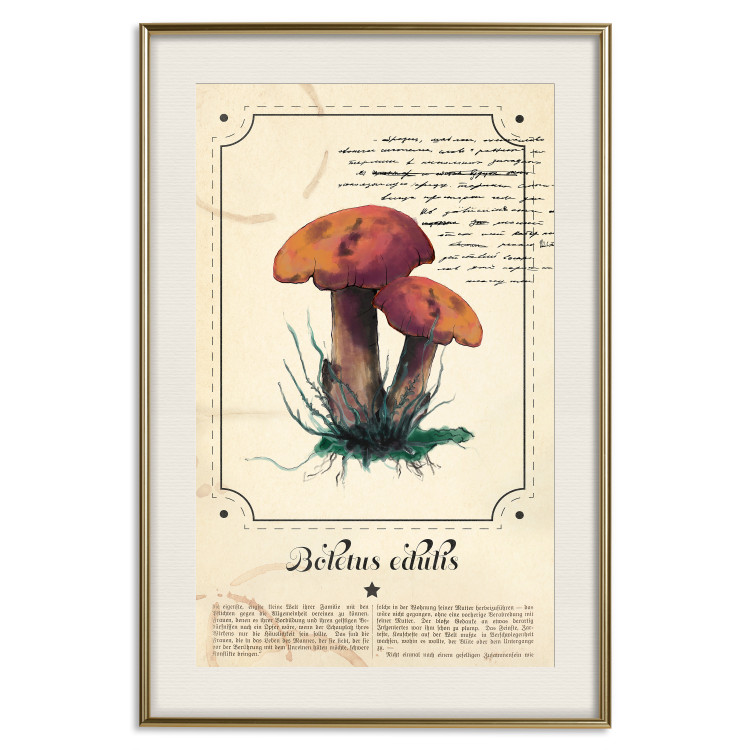 Wall Poster Mushroom Atlas - brown mushrooms on beige background amidst black text 129546 additionalImage 20