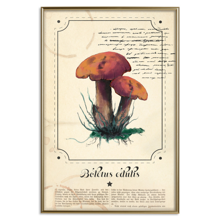 Wall Poster Mushroom Atlas - brown mushrooms on beige background amidst black text 129546 additionalImage 21