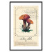 Wall Poster Mushroom Atlas - brown mushrooms on beige background amidst black text 129546 additionalThumb 15
