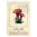 Wall Poster Mushroom Atlas - brown mushrooms on beige background amidst black text 129546