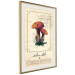 Wall Poster Mushroom Atlas - brown mushrooms on beige background amidst black text 129546 additionalThumb 3