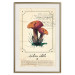 Wall Poster Mushroom Atlas - brown mushrooms on beige background amidst black text 129546 additionalThumb 20