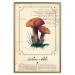 Wall Poster Mushroom Atlas - brown mushrooms on beige background amidst black text 129546 additionalThumb 17