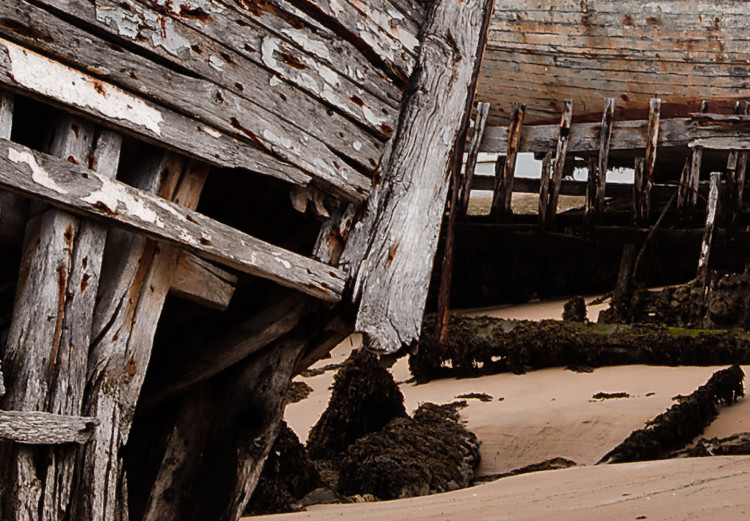 Wall Poster Abandoned Boats - landscape of an abandoned wooden ship on the beach 130346 additionalImage 11