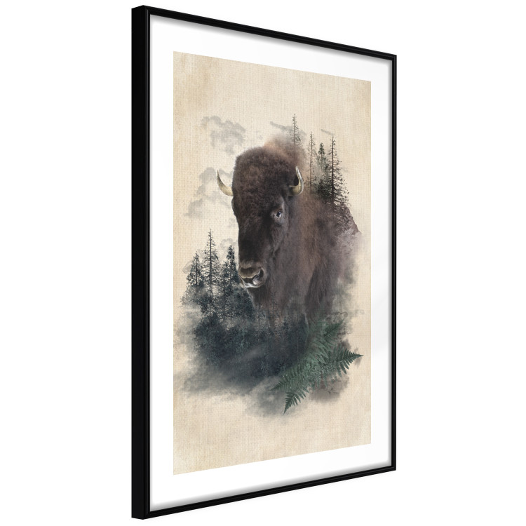 Poster Dignified Bison - animal in a forest setting on a uniform beige background 130446 additionalImage 6