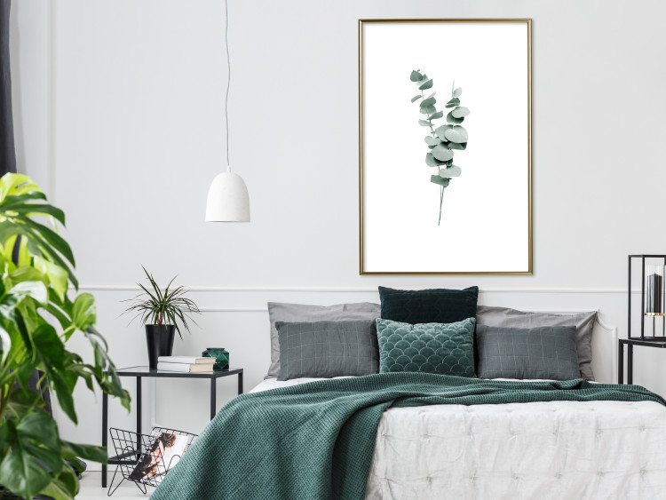 Wall Poster Eucalyptus Twigs - Minimalist Green Plant Leaves Isolated on White 146146 additionalImage 17
