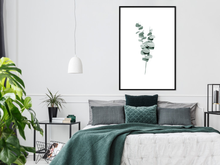 Wall Poster Eucalyptus Twigs - Minimalist Green Plant Leaves Isolated on White 146146 additionalImage 13