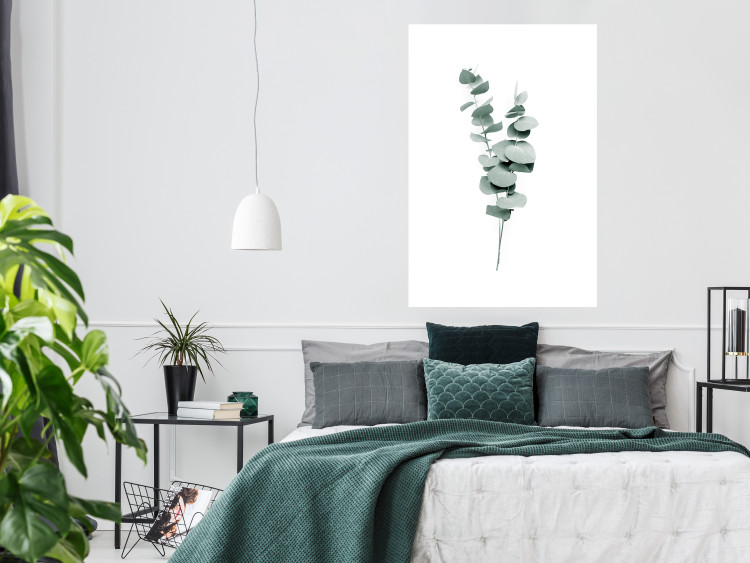 Wall Poster Eucalyptus Twigs - Minimalist Green Plant Leaves Isolated on White 146146 additionalImage 18