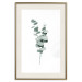 Wall Poster Eucalyptus Twigs - Minimalist Green Plant Leaves Isolated on White 146146 additionalThumb 25
