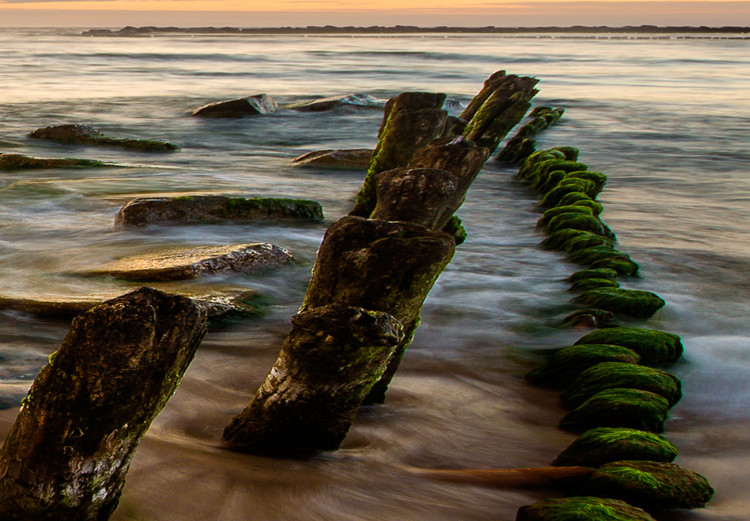 Large canvas print Wooden Breakwaters III [Large Format] 149046 additionalImage 4