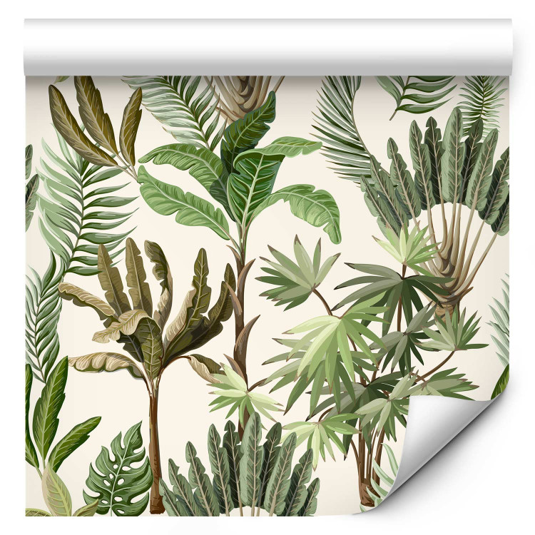 Wallpaper Exotic Pattern - Green Palm Trees and Banana Trees on a White Background 150046 additionalImage 1