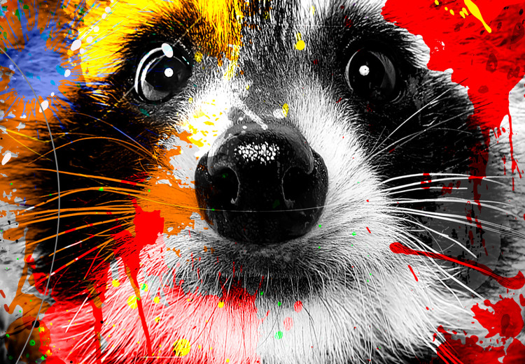 Large canvas print Colorful animals: Raccoon [Large Format] 150946 additionalImage 4