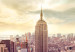 Canvas New York City from above 50446 additionalThumb 3