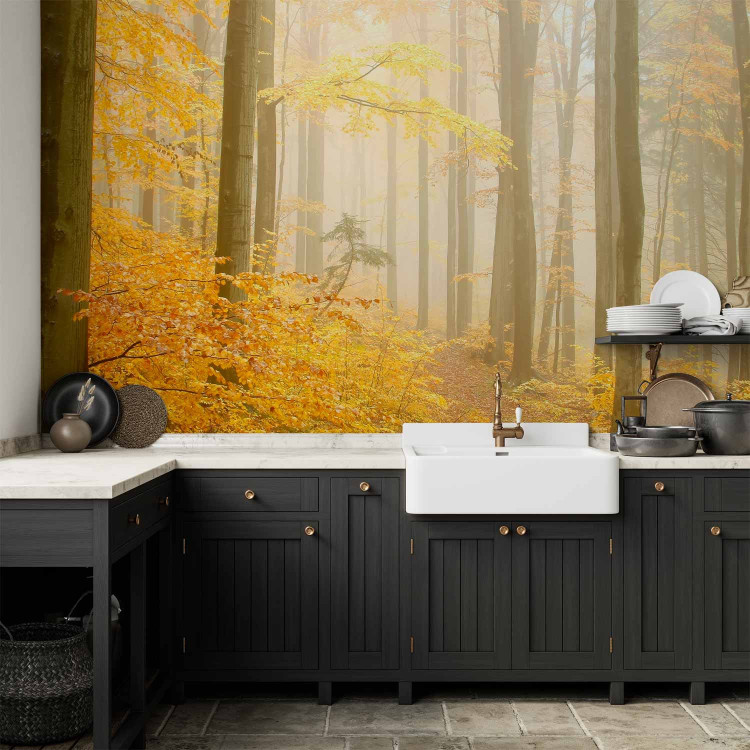 Wall Mural Forest - autumn 59846 additionalImage 6