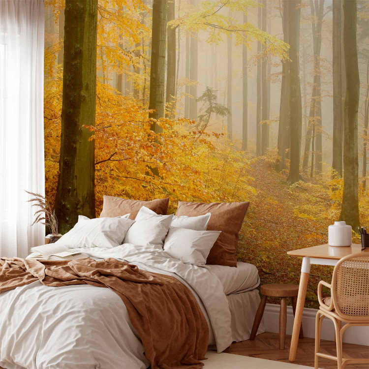 Wall Mural Forest - autumn 59846 additionalImage 2