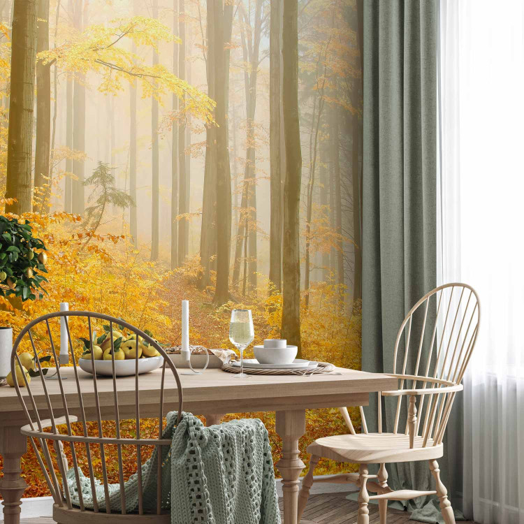 Wall Mural Forest - autumn 59846 additionalImage 7