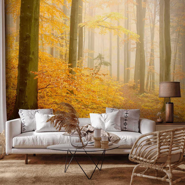 Wall Mural Forest - autumn 59846