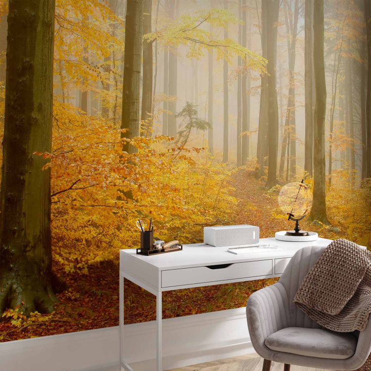 Wall Mural Forest - autumn 59846 additionalImage 4