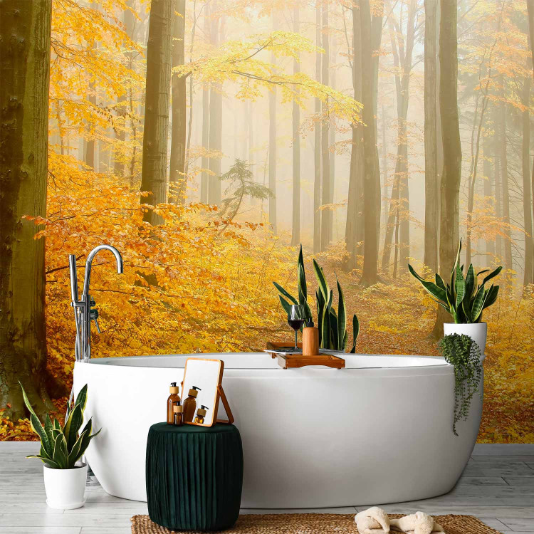 Wall Mural Forest - autumn 59846 additionalImage 8
