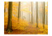 Wall Mural Forest - autumn 59846 additionalThumb 1