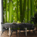 Photo Wallpaper Orient - Asian Plant Motif with Bamboo in a Sunny Perspective 61446 additionalThumb 4