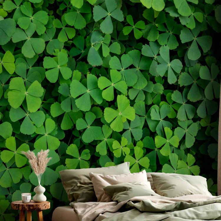 Photo Wallpaper Nature - plant motif with shamrocks for luck 91846 additionalImage 2