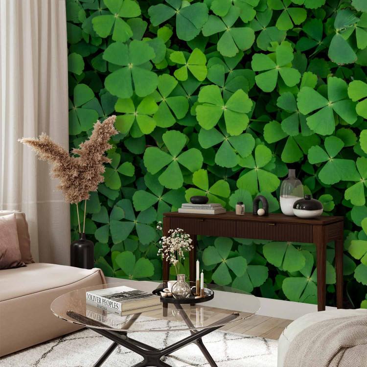 Photo Wallpaper Nature - plant motif with shamrocks for luck 91846