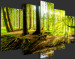 Print On Glass Poetry of a Forest [Glass] 93946 additionalThumb 4