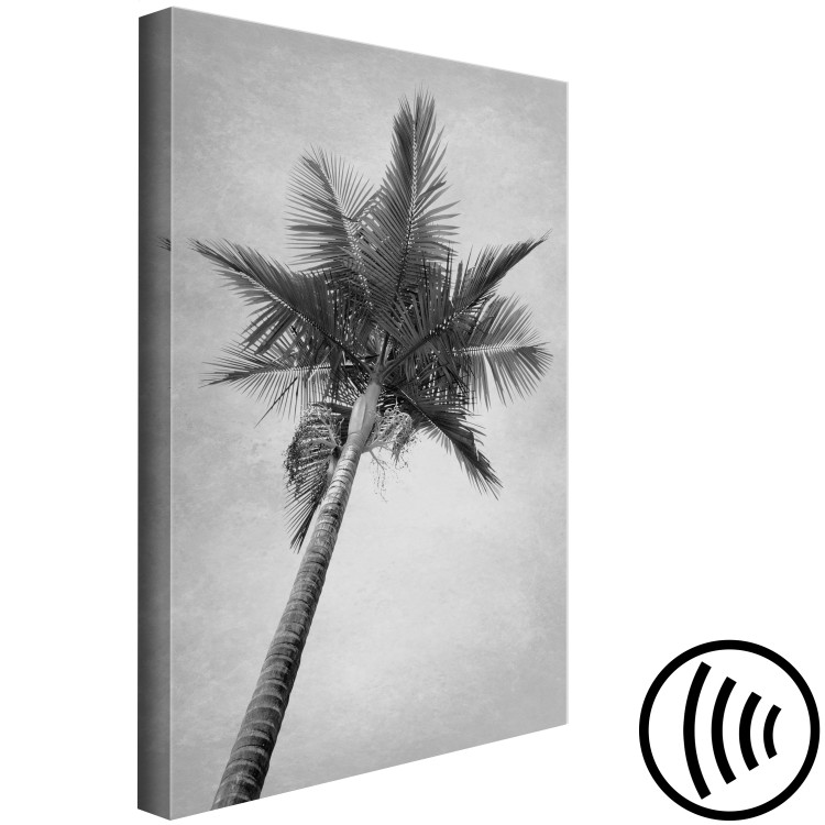Canvas Print Under a palm tree - black and white photograph of a palm on the sky 116456 additionalImage 6