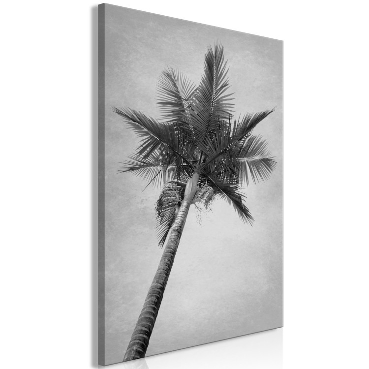 Canvas Print Under a palm tree - black and white photograph of a palm on the sky 116456 additionalImage 2