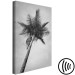 Canvas Print Under a palm tree - black and white photograph of a palm on the sky 116456 additionalThumb 6