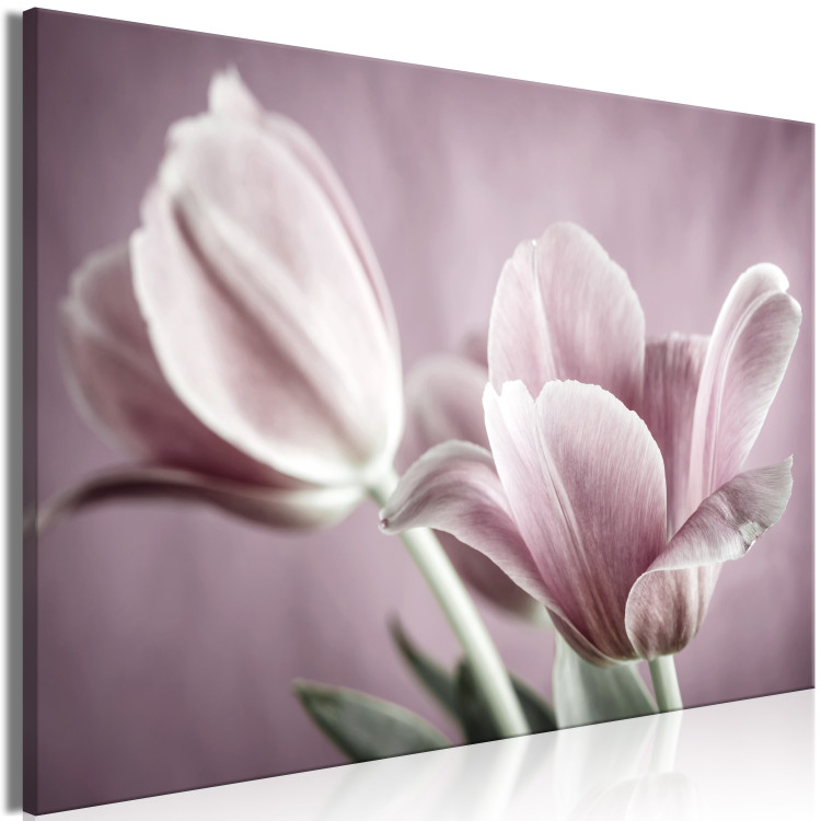 Canvas Art Print Tulip Nature (1-part) - Pink Flower in Springtime 117156 additionalImage 2