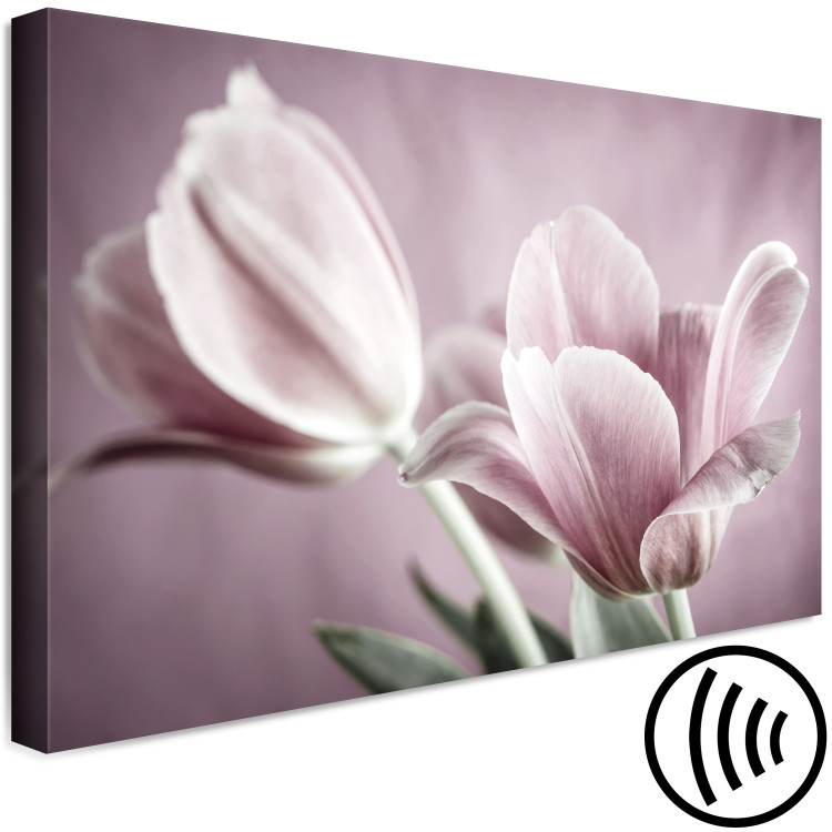 Canvas Art Print Tulip Nature (1-part) - Pink Flower in Springtime 117156 additionalImage 6