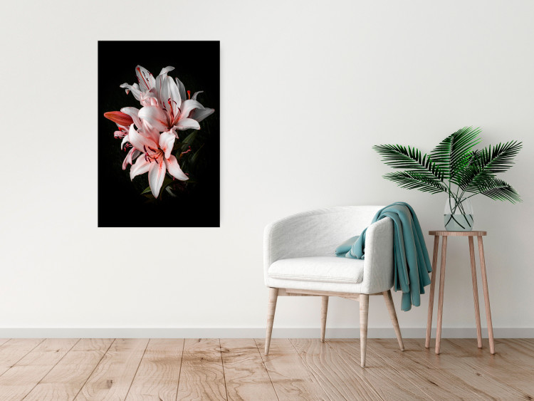 Poster Lilies - composition with beautiful light pink flowers on a deep black background 117256 additionalImage 23