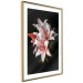 Poster Lilies - composition with beautiful light pink flowers on a deep black background 117256 additionalThumb 6