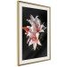 Poster Lilies - composition with beautiful light pink flowers on a deep black background 117256 additionalThumb 2