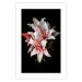 Poster Lilies - composition with beautiful light pink flowers on a deep black background 117256 additionalThumb 19