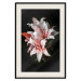 Poster Lilies - composition with beautiful light pink flowers on a deep black background 117256 additionalThumb 18