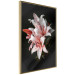 Poster Lilies - composition with beautiful light pink flowers on a deep black background 117256 additionalThumb 12