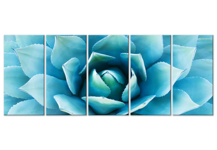 Canvas Print Abstract agave - succulent in shades of blue 117856