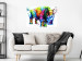 Canvas Colourful Rhino (1 Part) Wide 126956 additionalThumb 3