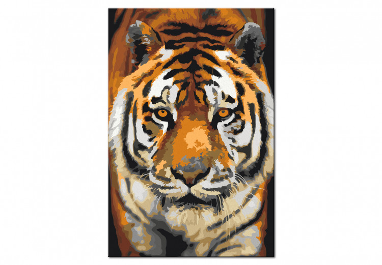 Paint by number Asian Tiger 127156 additionalImage 6