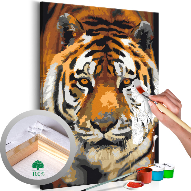 Paint by number Asian Tiger 127156
