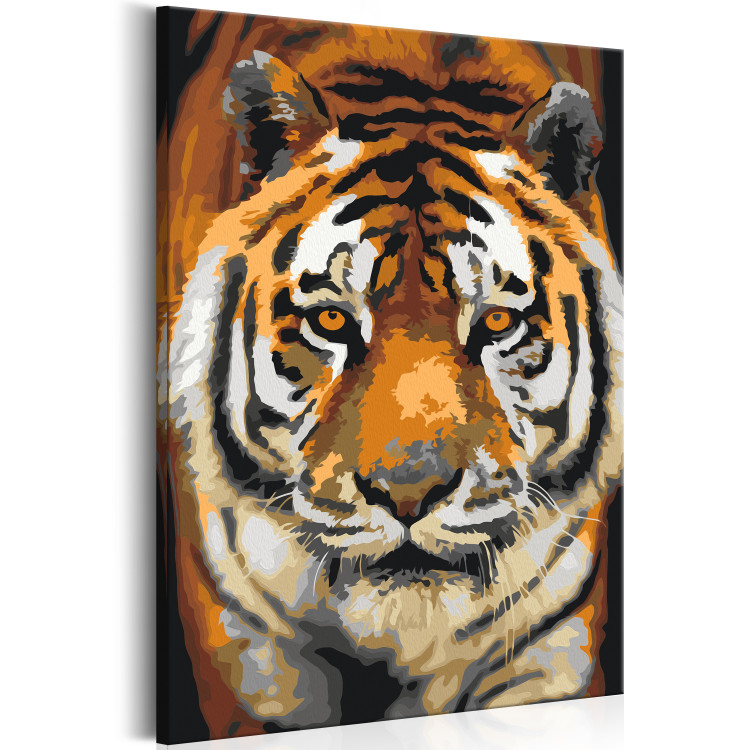 Paint by number Asian Tiger 127156 additionalImage 4