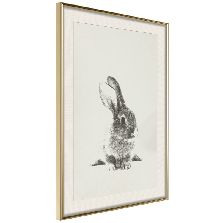 Poster Fluffy Bunny - gray rabbit sketch on a solid background 130756 additionalImage 3