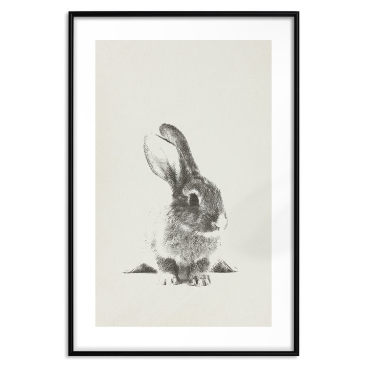 Poster Fluffy Bunny - gray rabbit sketch on a solid background 130756 additionalImage 15