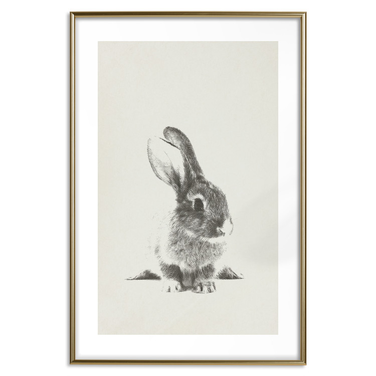 Poster Fluffy Bunny - gray rabbit sketch on a solid background 130756 additionalImage 16