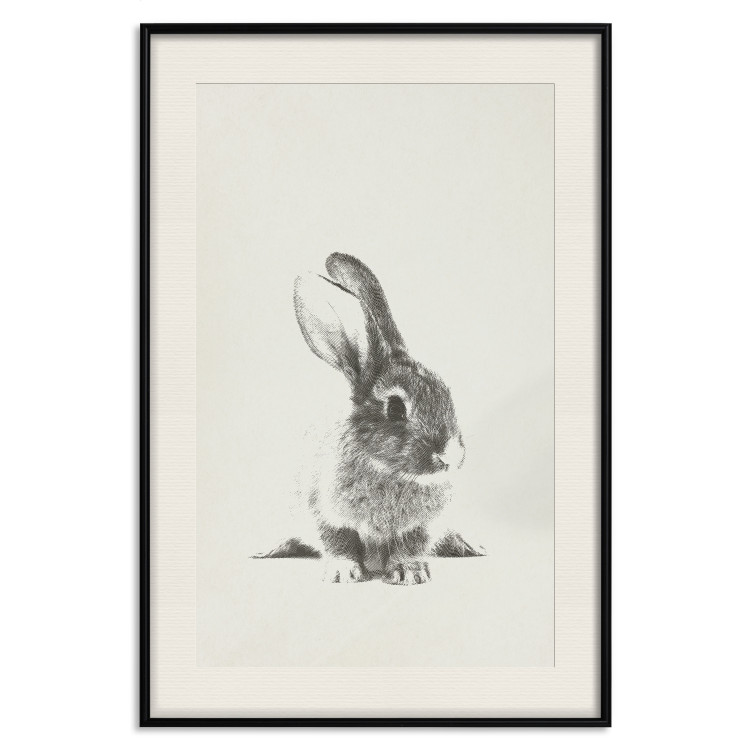 Poster Fluffy Bunny - gray rabbit sketch on a solid background 130756 additionalImage 19