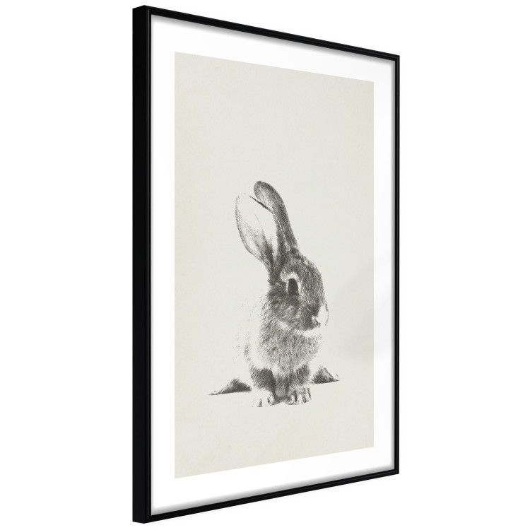 Poster Fluffy Bunny - gray rabbit sketch on a solid background 130756 additionalImage 6